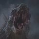 Image for article titled Island Gigantism: How Islands Really Do Breed Giant Creatures